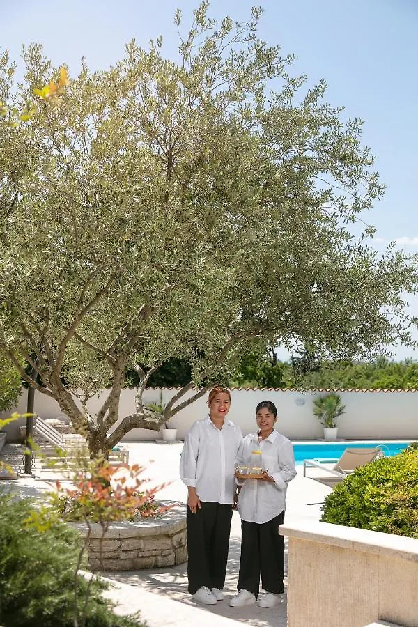 Residence Pietre D'Istria - With Private Service Burići 빌라